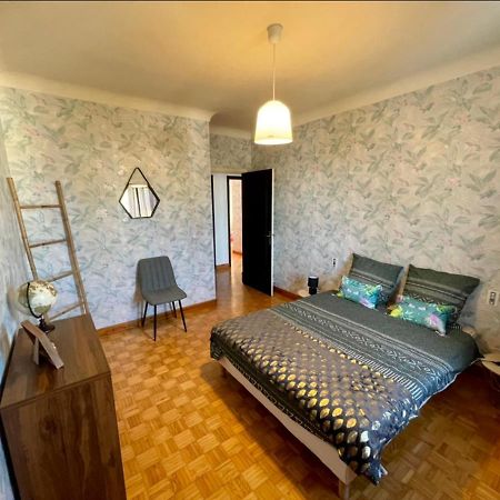 Tres Grand Appartement A 10 Min A Pied Du Centre Castres  Kültér fotó