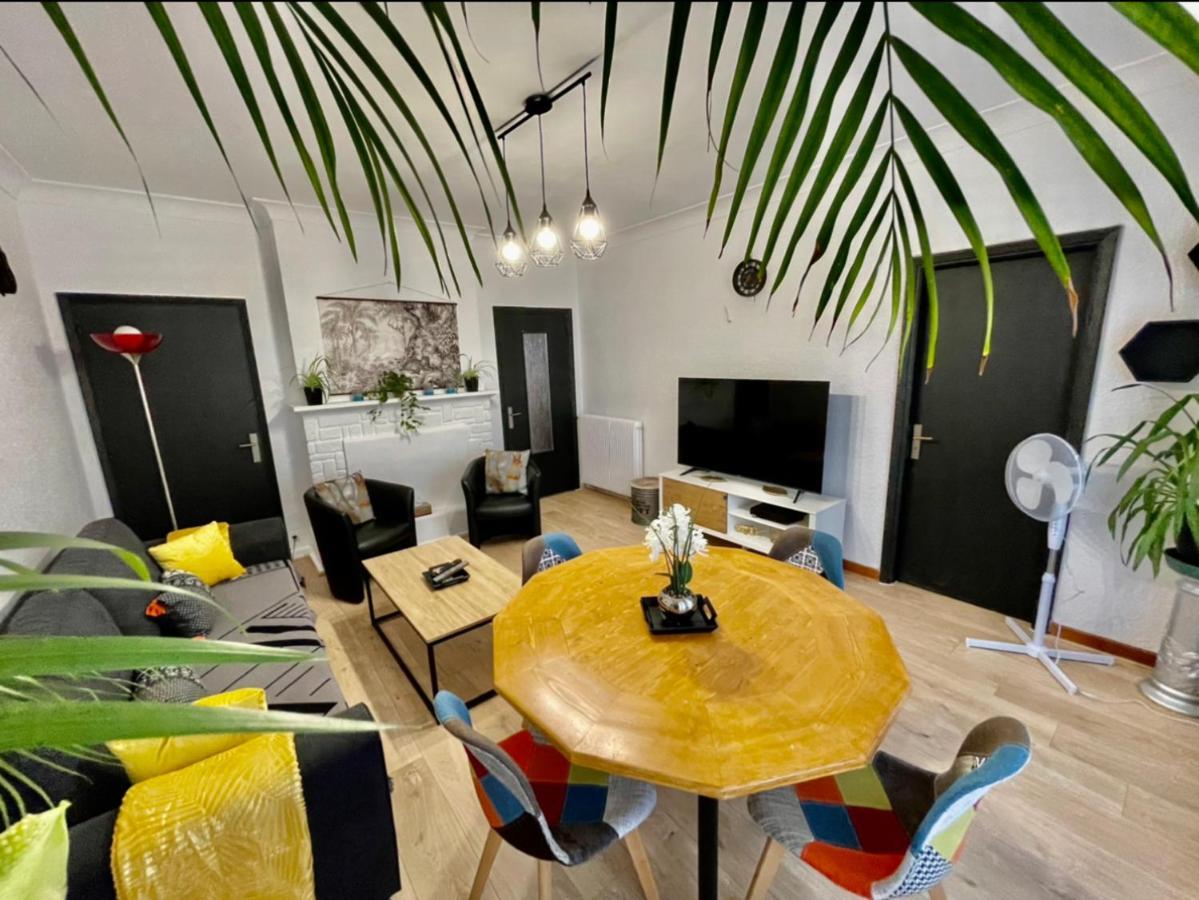 Tres Grand Appartement A 10 Min A Pied Du Centre Castres  Kültér fotó