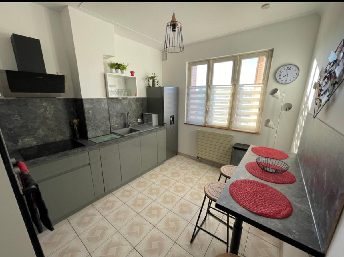 Tres Grand Appartement A 10 Min A Pied Du Centre Castres  Kültér fotó