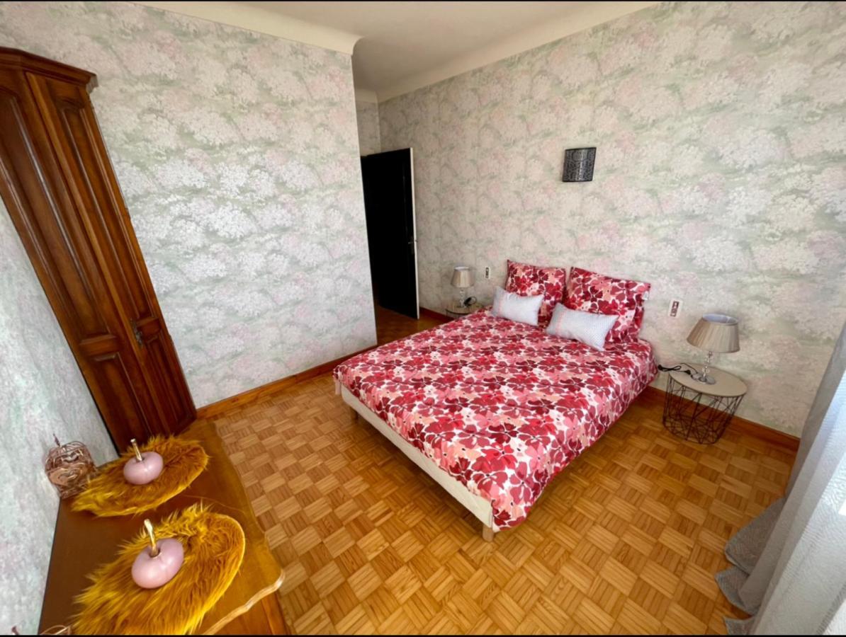 Tres Grand Appartement A 10 Min A Pied Du Centre Castres  Kültér fotó